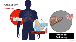 LiverCirrhosisPortal HTN2dStagesLiver Stiffness Measurement [upl. by Rohn]