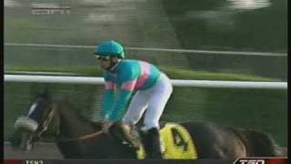 Zenyatta Breeders Cup Classic  Extended PostRace Coverage Stereo [upl. by Thalia]