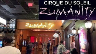 Cirque du Soleil Zumanity Show Review  Las Vegas Shows [upl. by Kieran341]