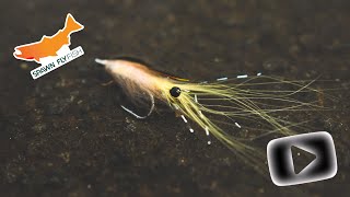 Simple Shrimp Fly That Simply Works  For Saltwater Fly Fishing [upl. by Lentha]