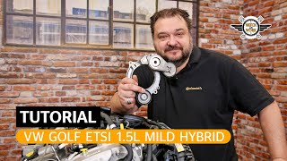 DE Keilrippenriemen am Auto wechseln Mild Hybrid mit OmegaSpanner  Watch and Work Tutorial [upl. by Eneles]