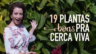 19 PLANTAS para CERCA VIVA [upl. by Amieva956]