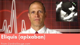 Eliquis apixaban Basics about this medicine its use effectiveness and side effects [upl. by Leeban976]