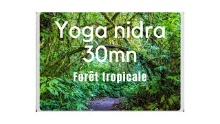 Yoga Nidra Nuage amp forêt tropicale [upl. by Incrocci]