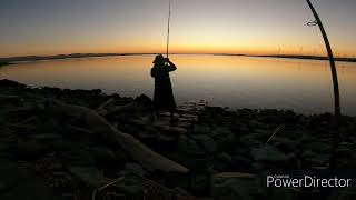 Back to Sherman Island striped bass fishing [upl. by Burchett]