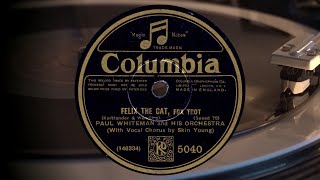 Paul Whiteman and his Orchestra Felix the Cat  Fox Trot 1928 [upl. by Ibrik157]