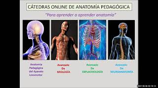 Anatomía Pedagógica 2021 [upl. by Slorac]