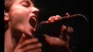 Sinéad OConnor  Fire on Babylon Live  Pinkpop 1995 [upl. by Westfall]