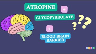 Atropine vs Glycopyrrolate Battle of the Brain Barriers [upl. by Eenahc]