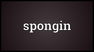 Spongin Meaning [upl. by Nor]