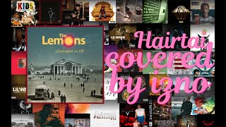 Music Cover  The Lemons  Hairtai [upl. by Ahsoym]