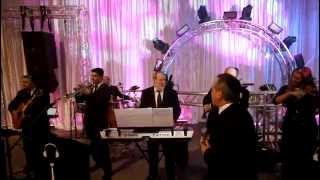 Jewish Wedding Band in Miami Florida playing the Hora [upl. by Quintilla598]