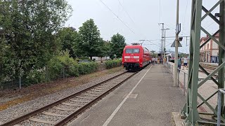 Sonderfahr mit 101 072 nach Schopfheim [upl. by Graves]