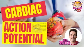 Depolarization and Repolarization of Heart Action Potential Atrial amp Ventricular Animation [upl. by Armitage]