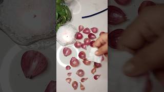 পেঁয়াজের খোসা ফেলে দেন ndecor diy rosemaking onionpeel kitchenwaste NDecor [upl. by Koorb986]