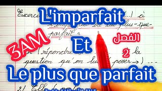 Limparfait et le plus que parfait dans la même phrase [upl. by Noseyt464]