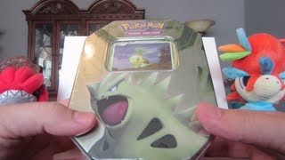 BEST Pokemon Cards Ever  EX Series Tyranitar Tin Opening INSANE [upl. by Gord]