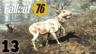 VOX SYRINGER  Fallout 76 13 [upl. by Nnaaras]