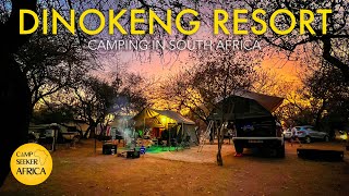 Camping in the Dinokeng Game Reserve  Dinokeng Resort  Overlanding South Africa [upl. by Leiad202]