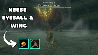 I beat a Thunder Gleeok with only Keese Eyeball and Wing in Tears Of The Kingdom  No Commentary [upl. by Concepcion290]