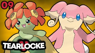 Un NUOVO SUPER TEAM per la DODICESIMA RUN  Pokémon Y Tearlocke [upl. by Galatea661]