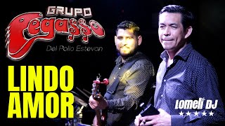 2018  LINDO AMOR  Grupo Pegasso  JAVIER El Triby RIVERA  en vivo [upl. by Jacenta]