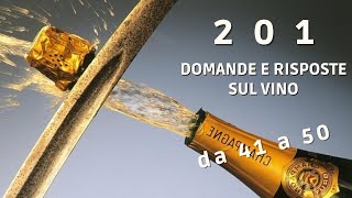 201 Domande e Risposte sul Vino ecco le domande da 41 a 50  Tutorial Vino [upl. by Delija]