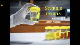 Sterile pyuria [upl. by Juliane248]