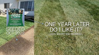 WaterSaver Rhizomatous Tall Fescue 1 Year Review [upl. by Llenrod]