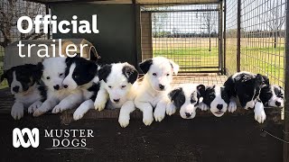 Muster Dogs Season 2 Official Trailer  ABC Australia [upl. by Airamas]