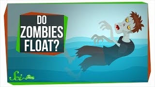 Do Zombies Float or Sink [upl. by Felicdad771]