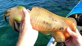 Queensland Inshore Squid Fishing  YeppoonEmu Park [upl. by Melcher]