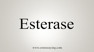 How To Say Esterase [upl. by Chuipek]