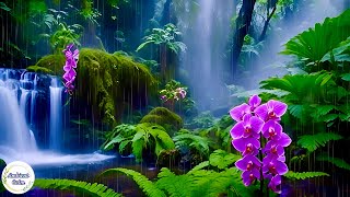 Rainforest Ambience Soothing Jungle Sounds with Rain and Thunder [upl. by Ajnin]