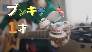 ２月２８日（日）は「店番とブンキチ１才の日」文鳥とギター８２２時間目 [upl. by Nahtanohj]