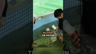 fishermen thought they rescued a dolphin what it grow up to be shocked the world part 1truestory [upl. by Alamat680]