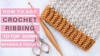 Crochet Ribbing Tutorial Video Tutorial amp Pattern Ideas [upl. by Wandy]