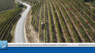 CONSORZIO DI TUTELA BAROLO BARBARESCO ALBA LANGHE E DOGLIANI [upl. by Dulcle]