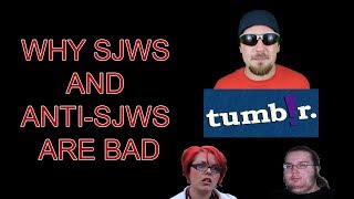 WHY SJWS AND ANTISJWS ARE BAD [upl. by Perretta357]