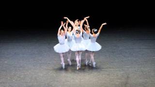 Vienna State Opera funny ballet Слава Україні [upl. by Rehtaef]