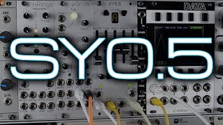 Michigan Synth Works SY05  Pearl Syncussion Clone in Eurorack [upl. by Pallas148]