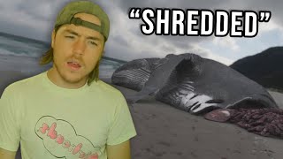 Fish Biologist reacts to quotMegalodon Proof Storiesquot [upl. by Casimire]