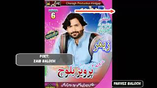 A Mardani hande اے مڑدانی ہندیں مے کوہ بولانیں Singer Parvez Baloch New Song vol 6 [upl. by Tyoh573]