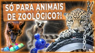 Enriquecimento Ambiental é só para animais de zoológico Quais são os tipos Entenda caoemfoco [upl. by Asaert]