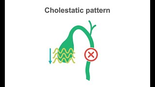 Identifying cholestasis on your liver labs panel [upl. by Dennet465]