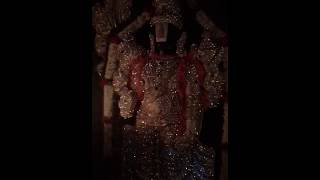 Tirupati Balaji Diamond Dress Darshana Once a Year Special Alankara [upl. by Sibelle253]