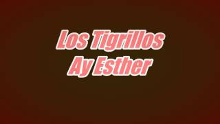 Los Tigrillos Ay Esther [upl. by Horan]