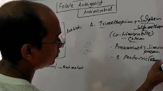 Antifolate antibiotics  folate antagonists [upl. by Ahsiekit]