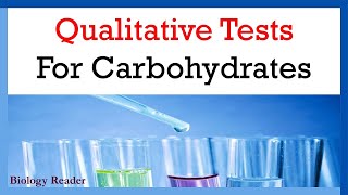 Qualitative Tests for Carbohydrates What They Are and How They Work [upl. by Elad]