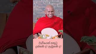 වැඩියෙන් සතුටු දුන්නමද 💫ලැබුනමද💫bana banakatha dharmadeshana welimadasaddhaseelathero [upl. by Sinclair485]